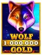 วิธีเล่น slot dead or alive ที่ไม่ควรพลาด